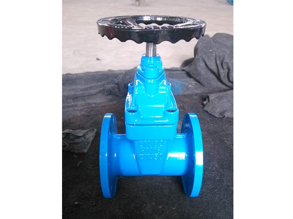 暗杆彈性(xing)座封閘閥