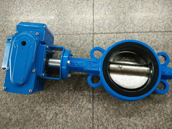 電動(dong)對夾蝶閥